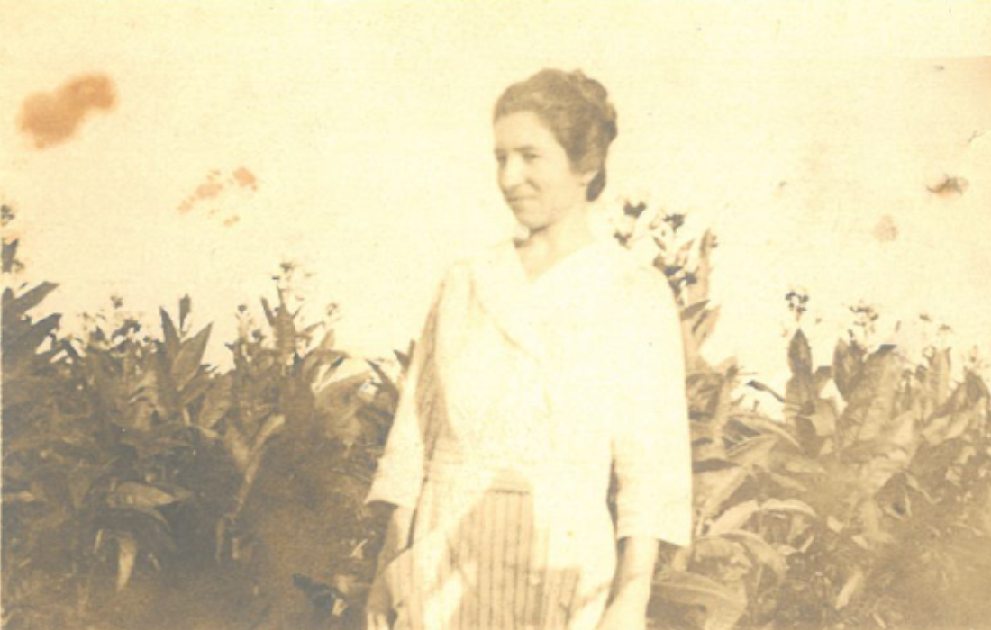 A sepia-toned image of a unnamed woman from the Cheehawk family standing in front of tall flowering plants. She is wearing a light colored top and a light colored striped skirt. Her hair is styled loosely up on her head. She is turned slightly to the right and is faintly smiling.